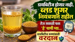 डायबिटीज रूग्णांसाठी अमुतासमान आहे ‘हे’ छोट्या दाण्यांचे पाणी; रोज सकाळी घेतल्यास ब्लड शुगर कायम राहील नियंत्रणात…