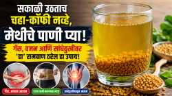 रामबाण औषधांसारखे काम करेल हे पाणी! सकाळी उपाशी पोटी मेथीचे पाणी पिण्याने शरीरात काय घडते?