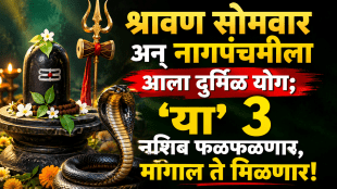 Surya guru 17 august 2026 dwidwadash yog