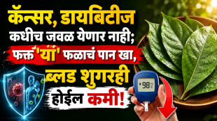 Sugar Apple Leaves Reduced Blood Sugar