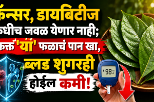 Sugar Apple Leaves Reduced Blood Sugar