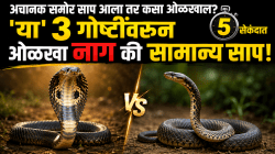‘साप’ आणि ‘नाग’ एकच की वेगळे? गोंधळ दूर करा; जाणून घ्या वैज्ञानिक फरक, ओळखण्याच्या सोप्या टिप्स आणि सुरक्षेचे उपाय!