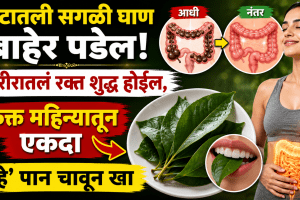 Constipation remedies neem leaves