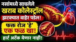 नसांमध्ये साचलेले खराब कोलेस्ट्रॉल झटक्यात बाहरे पडेल; फक्त रोज ‘हे’ एक फळ खा; हार्ट अटॅक येणार नाही