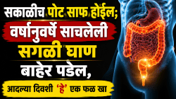 सकाळीच पोट साफ होईल; वर्षानुवर्षे साचलेली सगळी घाण बाहेर पडेल, फक्त आदल्या दिवशी ‘हे’ एक फळ खा