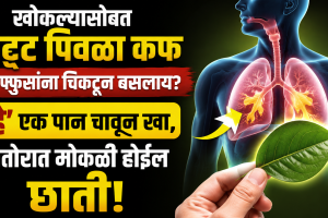 Chew betel leaf with cloves ajwain and honey to get rid of cold cough and phlegm