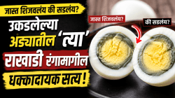 जास्त शिजवलंय की सडलंय? उकडलेल्या अंड्यातील ‘त्या’ राखाडी रंगामागील धक्कादायक सत्य!
