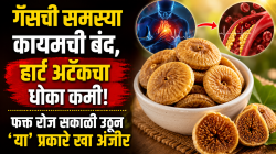 गॅसची समस्या कायमची बंद, हार्ट अटॅकचा धोकाही होणार कमी; फक्त रोज सकाळी उठून उपाशीपोटी ‘या’ प्रकारे खा अंजीर