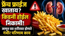 फ्रेंच फ्राईज खाताय? किडनी होईल निकामी! जाणून घ्या शरिरावर होणारे गंभीर परिणाम काय