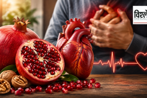 walnuts and pomegranate seeds placed beside an anatomical human heart, with a person experiencing chest discomfort in the background and an ECG heartbeat line, highlighting research into the potential heart-health benefits of Urolithin-A.