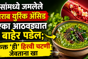 Health uric acid gout natural chutney remedy