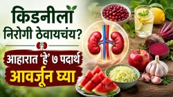 शरीरातील घाण बाहेर काढण्यात किडनीला करतात मदत; आहारात ‘या’ ७ पदार्थांचा समावेश करा
