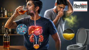 A man drinking alcohol with an illustration showing alcohol being processed by the liver and kidneys, while another man experiences excessive sweating and strong body odour and concentrated urine after drinking.