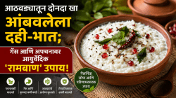 आठवड्यातून दोनदा खा आंबवलेला दही-भात; गॅस आणि अपचनावर आयुर्वेदिक ‘रामबाण’ उपाय!