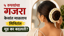 Gajra For Mental Health : ५ रुपयांचा गजरा दूर करणार डिप्रेशन? मानसोपचारतज्ज्ञांनी उघड केले मोठे सत्य!