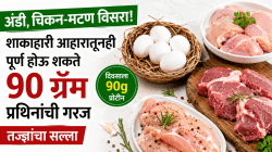 अंडी, चिकन-मटण न खाताही रोज मिळू शकतात ९० ग्रॅम प्रथिने; आहारतज्ज्ञांनी सांगितला सोपा आहार