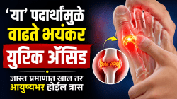 Uric Acid: ‘या’ पदार्थांमुळे वाढते भयंकर युरिक अ‍ॅसिड, जास्त प्रमाणात खाल तर आयुष्यभर होईल त्रास