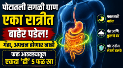 पोटातली सगळी घाण एका रात्रीत बाहेर पडेल; गॅस, अपचन होणार नाही, फक्त आठवड्यातून एकदा ‘ही’ ५ फळ खा