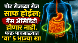 पोट रोजच्या रोज साफ होईल; गॅस ॲसिडिटी होणार नाही, फक्त पावसाळ्यात ‘या’ ५ भाज्या खा