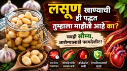 कच्चा लसूण खाता येत नाही? मग ‘असा’ आंबवून खा; BP आणि कोलेस्ट्रॉलसाठी ठरू शकतो फायदेशीर… काय सांगतात तज्ज्ञ?