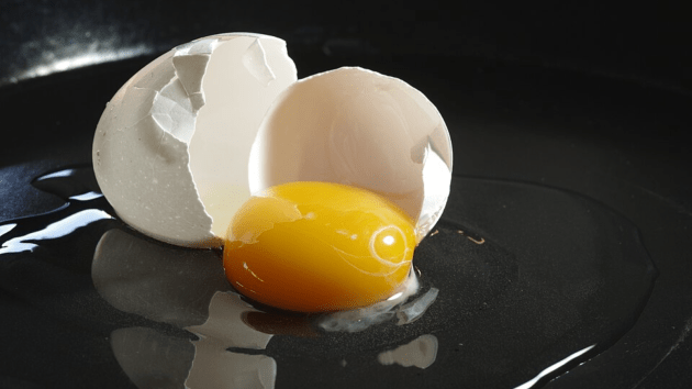 why chicken eggs are most popular
