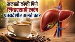 सकाळी कॉफी पिणे लिव्हरसाठी खरंच फायदेशीर असते का? वाचा, गॅस्ट्रोएन्टेरोलॉजिस्टचे मत