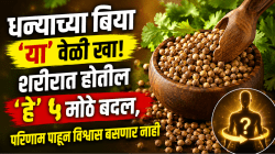 धन्याच्या बिया ‘या’ वेळी खा! शरीरात होतील ‘हे’ ५ मोठे बदल, परिणाम पाहून विश्वास बसणार नाही