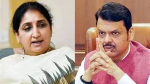 What CM Devendra Fadnavis Said?