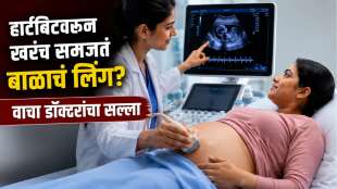 Fetal Heart Rate Baby Gender Prediction (1)