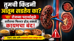 किडनी फेल होण्यापूर्वीच टाळा ‘या’ ५ चुका; रोजच्या आहारातील ‘हे’ पदार्थ ठरतात घातक