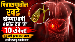 पित्ताशयातील खडे होण्याआधी शरीर देतं ‘हे’ १० संकेत! चुकूनही दुर्लक्ष करू नका, नाहीतर वाढू शकतो त्रास