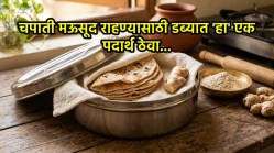 Kitchen Tips: चपाती दीर्घकाळ मऊ आणि फ्रेश राहण्यासाठी डब्यात ठेवा फक्त ‘हा’ एक पदार्थ, ट्राय करा ‘हा’ सोपा उपाय