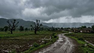 Maharashtra Rain Alert | Weather Forecast Maharashtra | Solapur Rain Yellow Alert | IMD Maharashtra Forecast