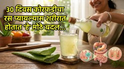 कोरफडीचा रस सलग ३० दिवस प्यायल्यास काय होईल? आयुर्वेदानुसार जाणून घ्या याचे फायदे आणि तोटे