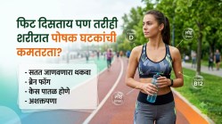 दिसायला एकदम फिट, पण शरीरात ‘या’ ३ पोषक घटकांची कमतरता? थकवा-केसगळतीला समजू नका फक्त स्ट्रेस; ‘ही’ ब्लड टेस्ट ठरू शकते गेमचेंजर