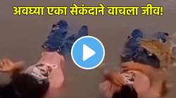 समुद्राच्या पाण्यात बसली होती तरुणी, अचानक पायाजवळ आली मगर अन्… पुढे काय घडलं, पाहा भयानक VIDEO
