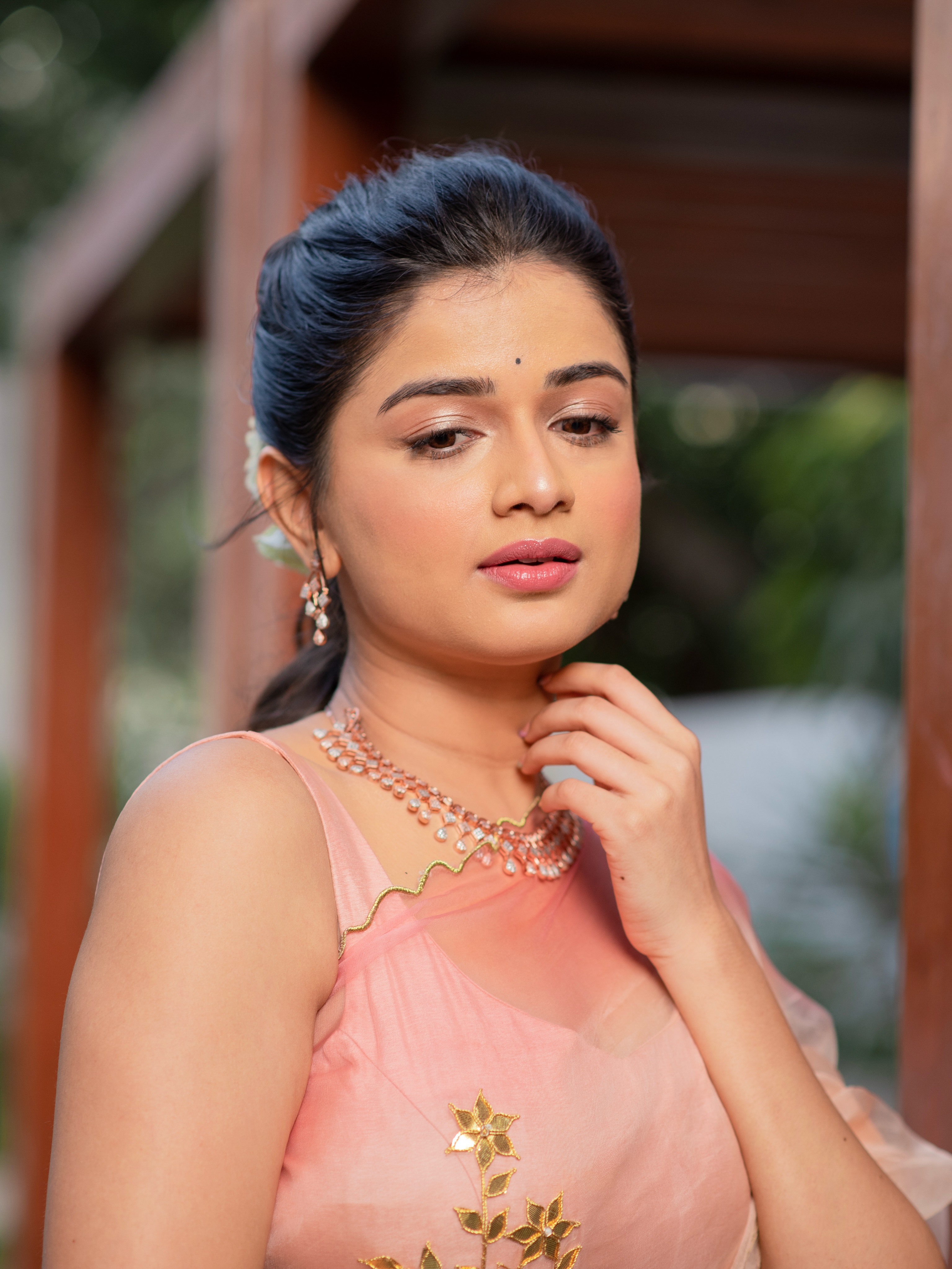 Hemal Ingle Organza Saree Look