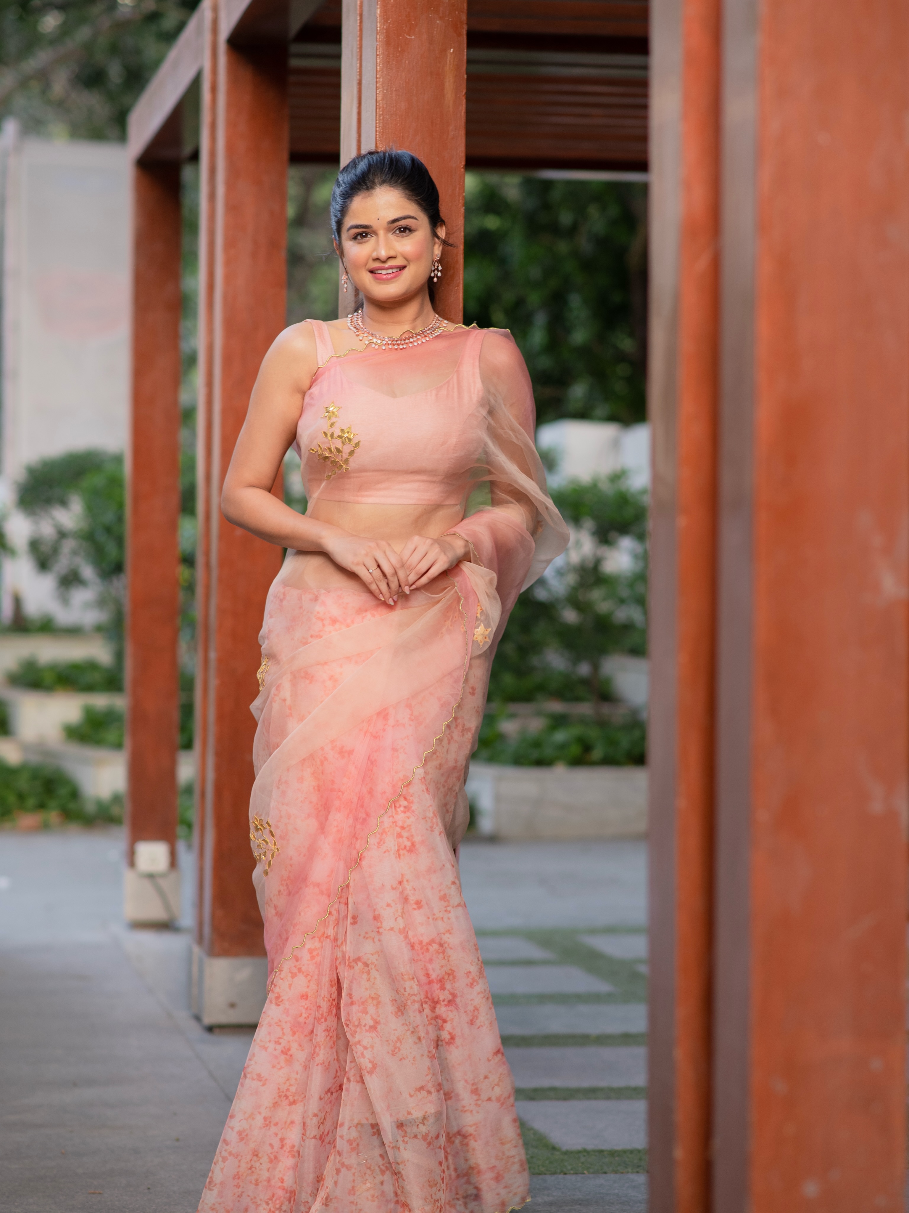 Hemal Ingle Organza Saree Look