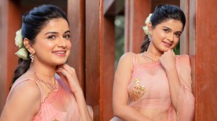 Hemal Ingle Organza Saree Look