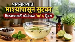 पावसाळ्यात घरात दिसणार नाही एकही माशी! पाण्यात मिसळा फक्त ‘या’ २ गोष्टी, दिसेल फरक