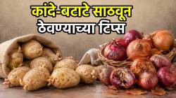 बटाटे मोड न येता, कांदे मऊ न पडता राहतील ताजे! फक्त ‘हे’ पाच उपाय करून पाहा, कुठे व कसं कराल स्टोअर; जाणून घ्या