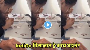 Indian family eating dhokla and thepla on an IndiGo flight viral video