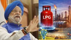 भारताच्या LPG आयातीच्या धोरणात मोठा बदल! आता ६७ टक्के पुरवठा अमेरिकेकडून; केंद्रीय पेट्रोलियम मंत्र्यांची माहिती