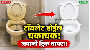 Japanese toilet cleaning method using white vinegar to remove yellow stains and limescale