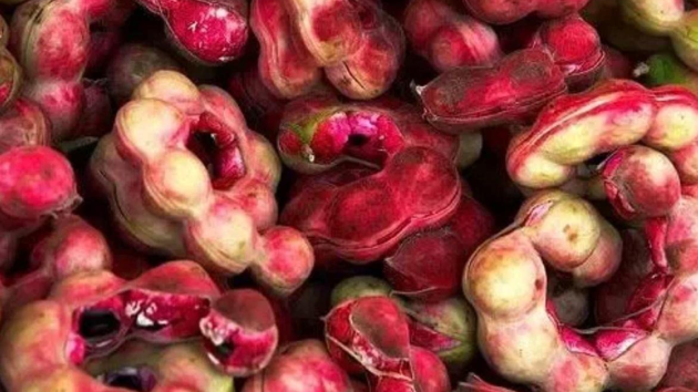 Lesser-known fruits of India