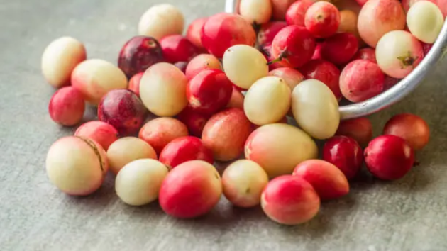 Lesser-known fruits of India