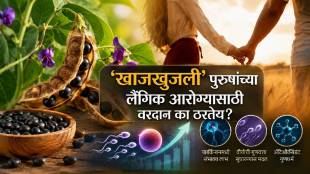 Kaunch Beej Benefits for male fertility sperm count