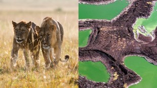 Kenya Best Places To Visit