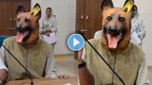 Khandwa Stray Dog Protest in MP Collector Office | Dog Bite Corruption Scam MP News Update | खंडवा मोकाट कुत्रे आंदोलन व्हिडिओ | मध्य प्रदेश कुत्रा नसबंदी घोटाळा बातम्या