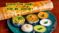 मसाला डोसा नक्की ‘हेल्दी’ की ‘अनहेल्दी’? तज्ज्ञांचा खुलासा; ‘ही’ एक गोष्ट ठरवेल डोसा जंक फूड आहे की नाही!
